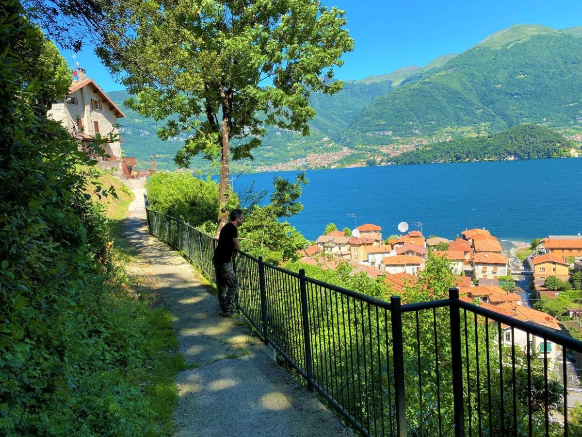 Il Bellavista Lägenhet Lezzeno Exteriör bild